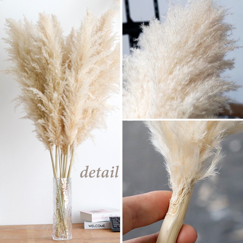 A-32 2023 wholesale natural wedding centerpieces dried flower decorative flowers short large pampas grass pampa decor
