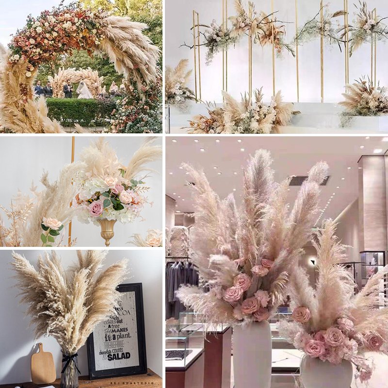 A-32 2023 wholesale natural wedding centerpieces dried flower decorative flowers short large pampas grass pampa decor