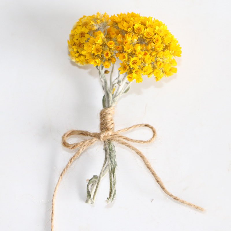 DREA wedding Valentine birthday gift dried roses mini dried flower bouquet from Yunnan