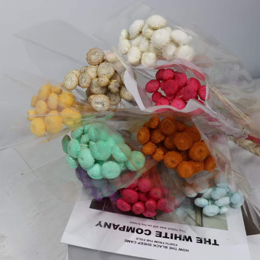 florist supply materials accessories real natural dried diamond flowers tiny mini flowers for DIY flower arrangement