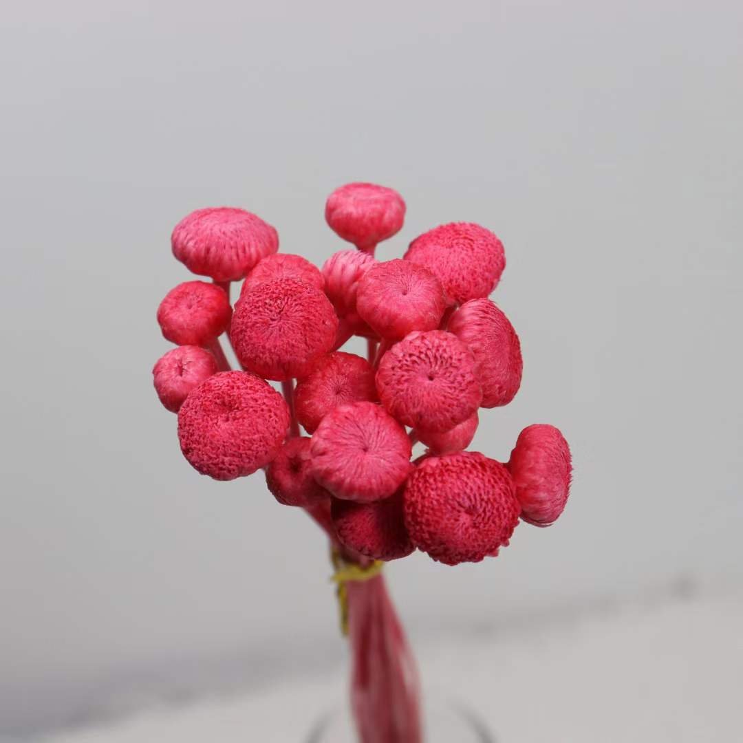 florist supply materials accessories real natural dried diamond flowers tiny mini flowers for DIY flower arrangement