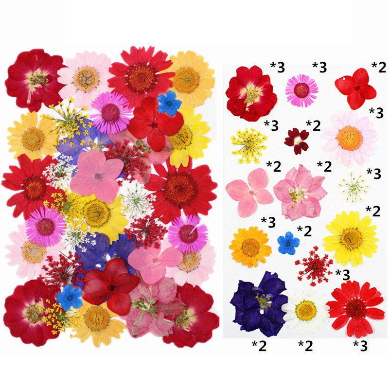 40PCS Real Natural Lightweight Mixed DIY Pressed Flowers for Resin Card Making Floral Craft Scrapbooking