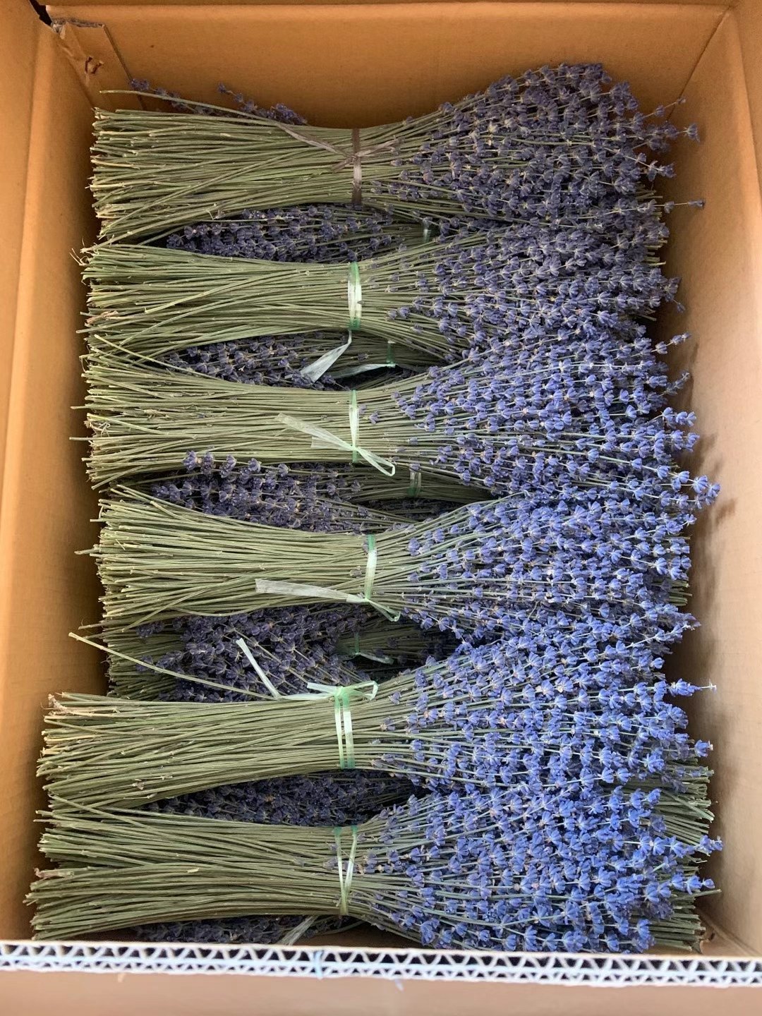 Customized Dried Stem Flower Bouquet Superior Quality Dried Lavender Bunches