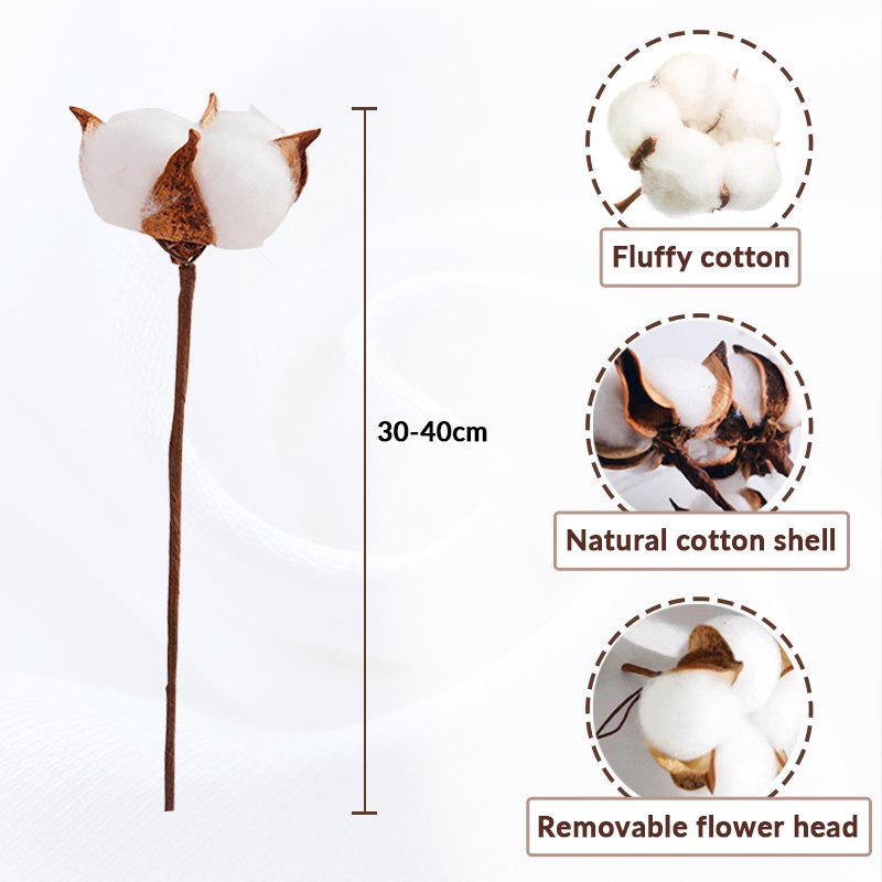 Free Sample New Designs Natural Arrangement Artificial Dried Flowers Decorative Cotton Flower Dried Cotton Flower Head
