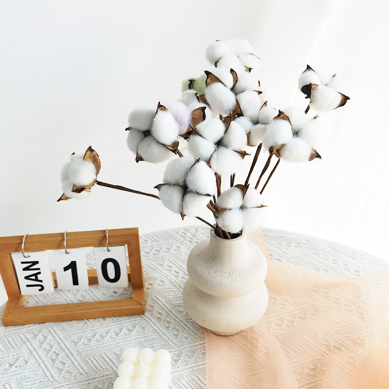 Free Sample New Designs Natural Arrangement Artificial Dried Flowers Decorative Cotton Flower Dried Cotton Flower Head