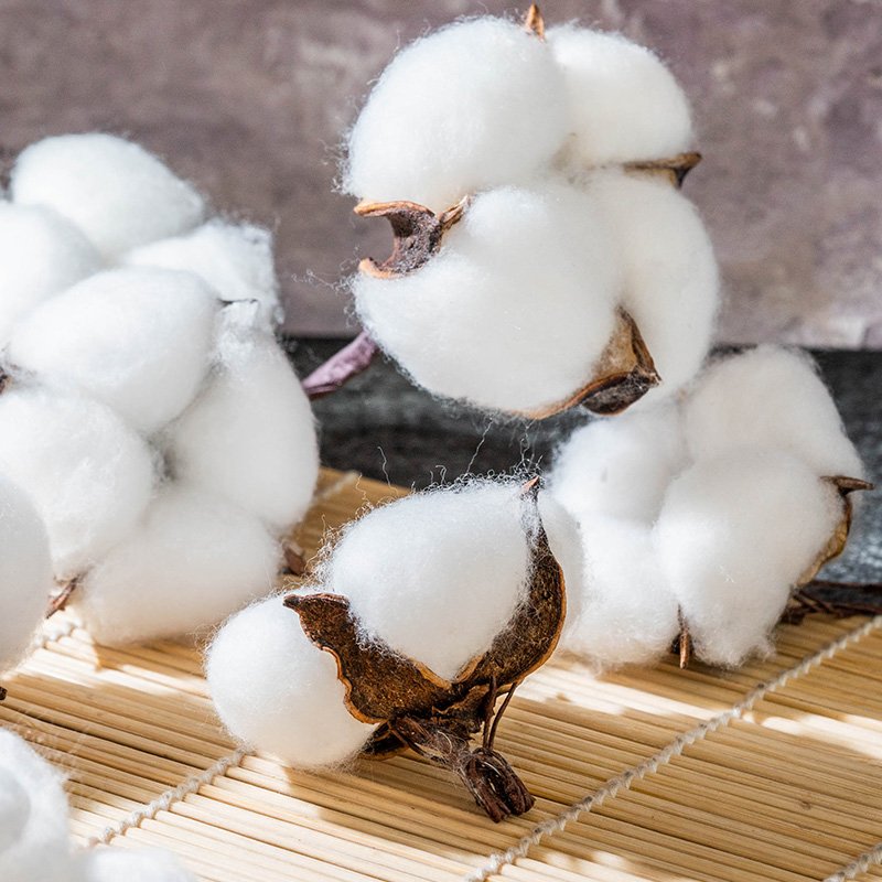 Free Sample New Designs Natural Arrangement Artificial Dried Flowers Decorative Cotton Flower Dried Cotton Flower Head