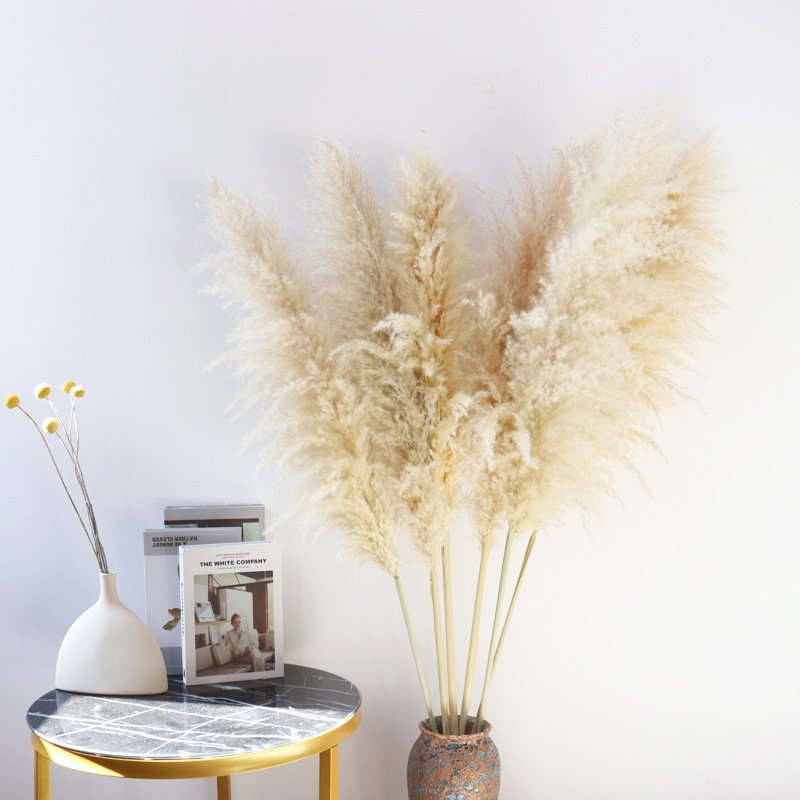 Dried flower decoration Pampas reed grass wedding home dried flower bouquet eternal flower manufacturers wholesale