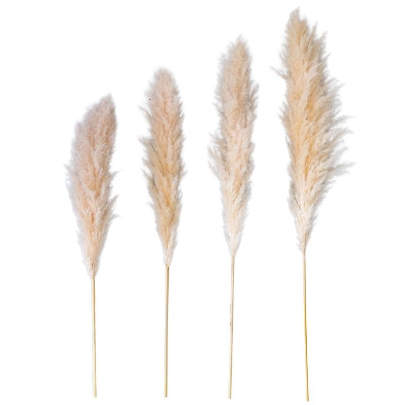 Dried flower decoration Pampas reed grass wedding home dried flower bouquet eternal flower manufacturers wholesale