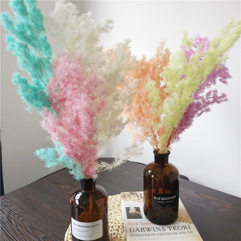 Factory Preserved Asparagus Myrioeladus Dried Flower Penglai Pine Ming Fern for Home &hotel &wedding decor