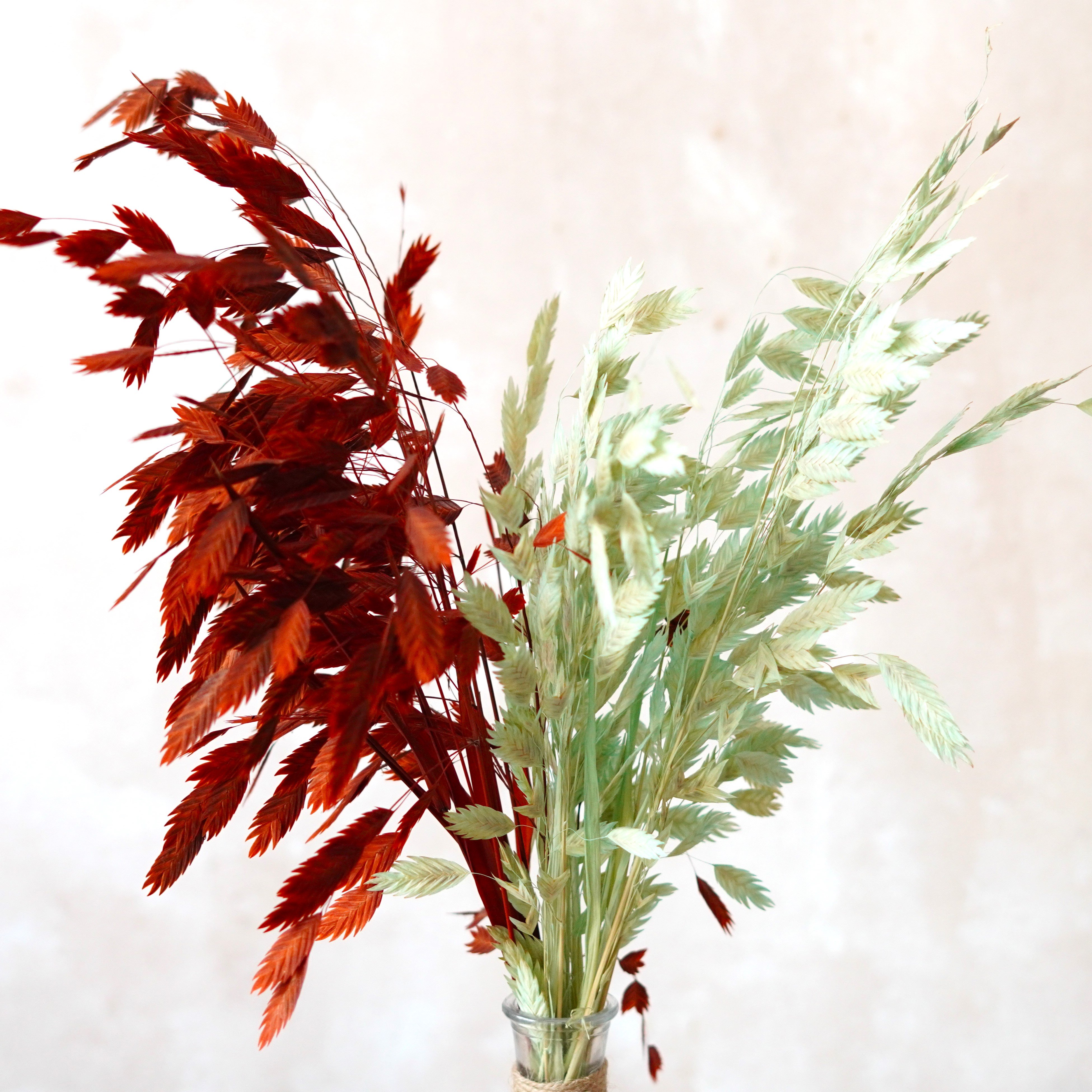 Dried Oat Grass,Dried Chasmanthium Latifolium, Dried flowers bouquet,Preserved Pompon Bazar Garnet Flat Ears