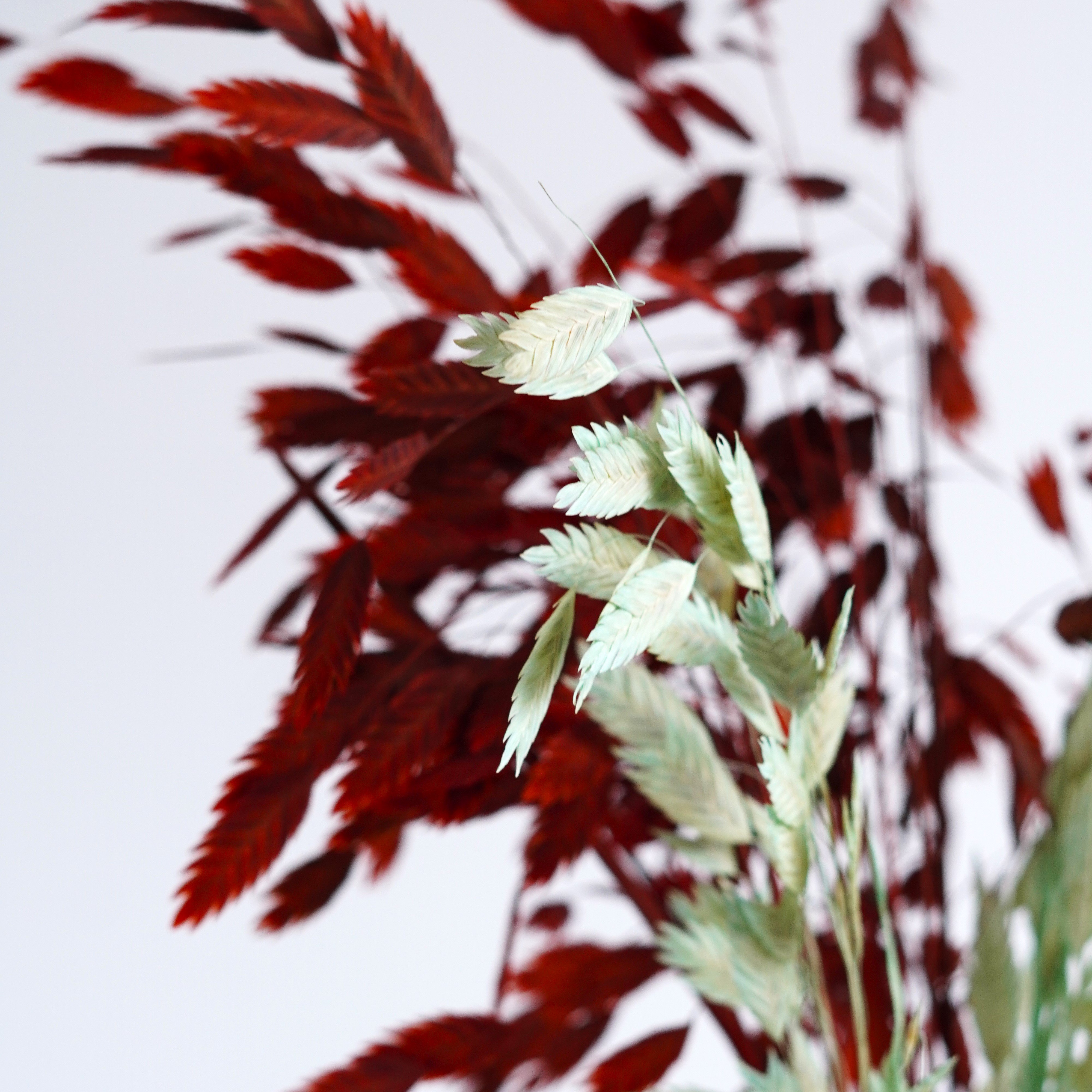 Dried Oat Grass,Dried Chasmanthium Latifolium, Dried flowers bouquet,Preserved Pompon Bazar Garnet Flat Ears