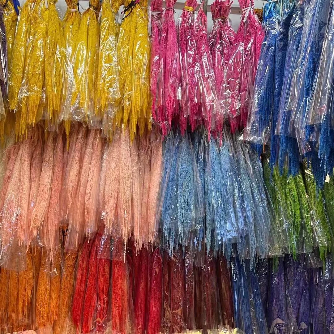 Factory Best Price Natural Preserved Flowers & Plants Amaranthus Dried Flower Hanging Amaranth for Wedding Decoration