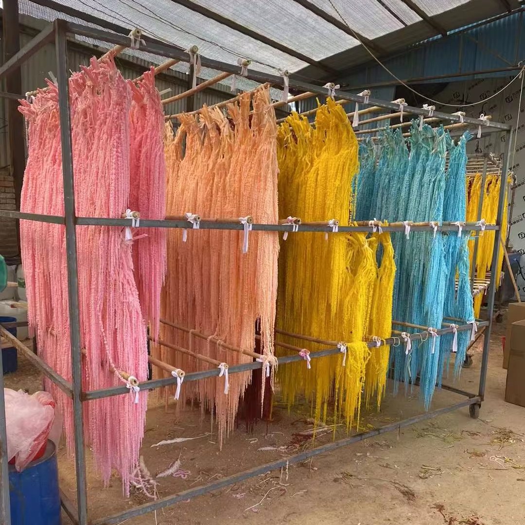 Factory Best Price Natural Preserved Flowers & Plants Amaranthus Dried Flower Hanging Amaranth for Wedding Decoration