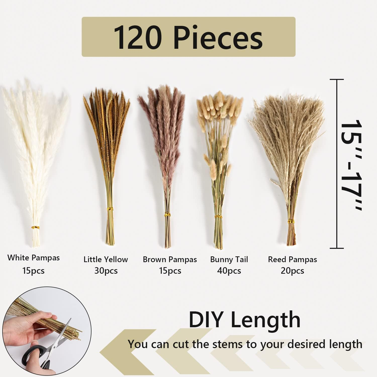 M-11Dried pampas grass decor home wedding party natural dried carefully hand-picked dried flowers