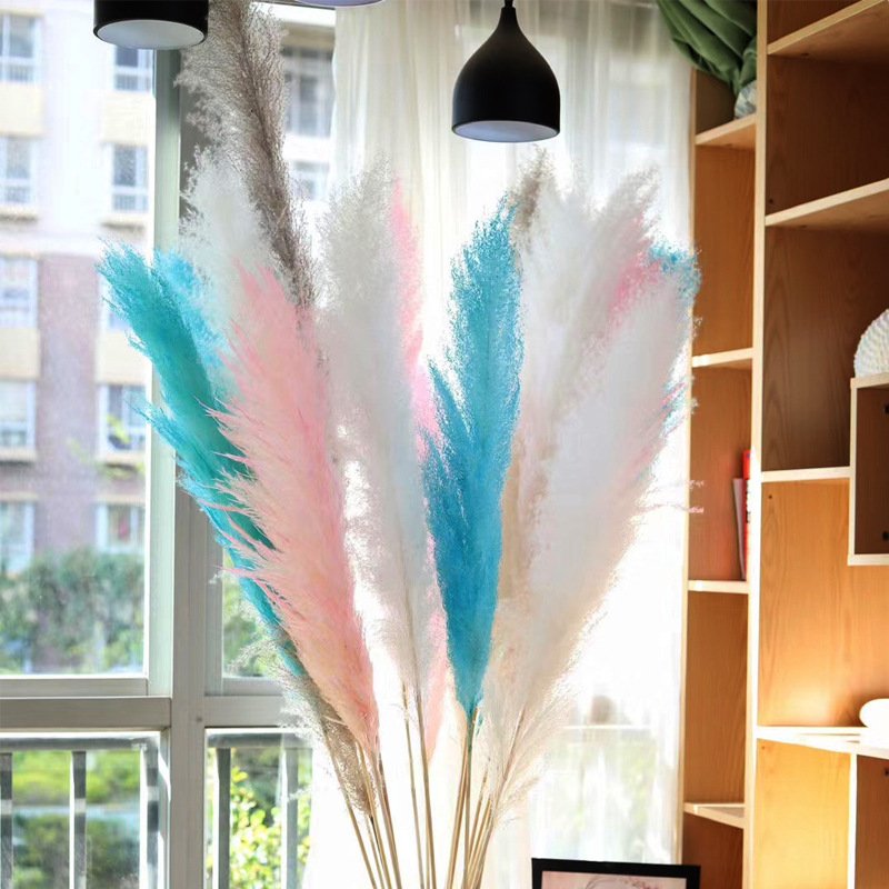 P-02 Wholesale Boho Wedding Decor Large Plume Dry Pampas Grass Flower Decor Natural Real Preserved Dried Pampas Grass For Decor