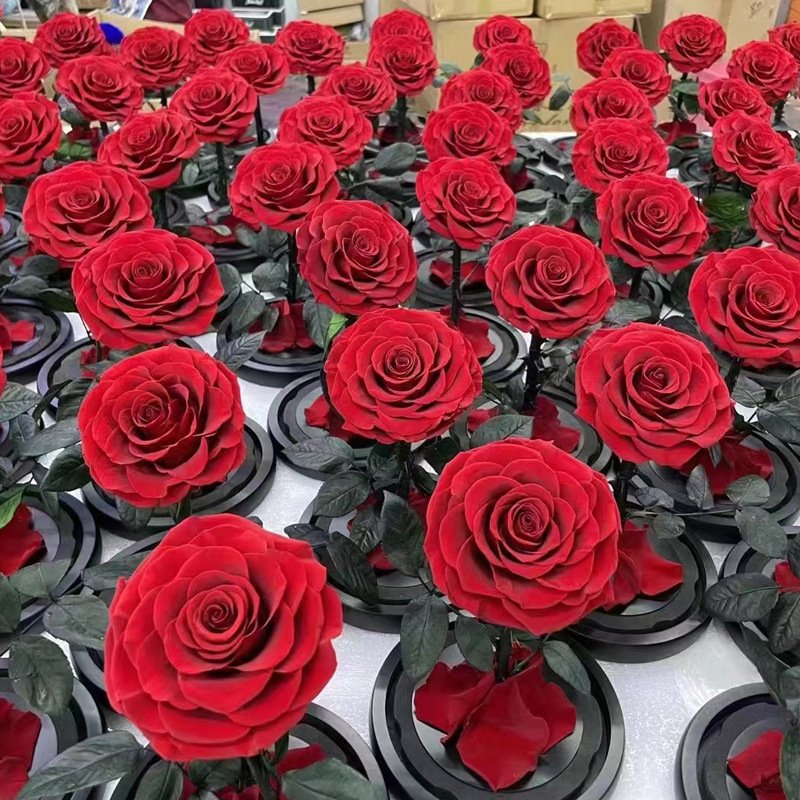 Eternal Rose Flowers Morthers Day Everlasting Preserved Flower Forever Roses In Glass Dome Led