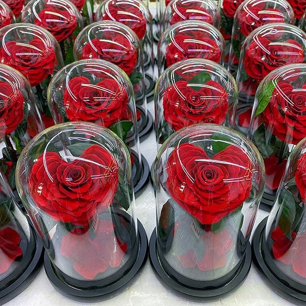 Eternal Rose Flowers Morthers Day Everlasting Preserved Flower Forever Roses In Glass Dome Led