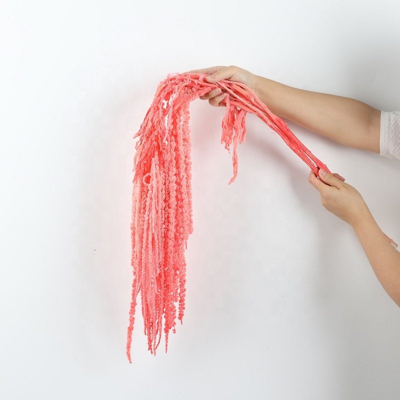 Wholesale greenery dried flowers dried amaranthus hanging preserved amaranthus for wedding decor