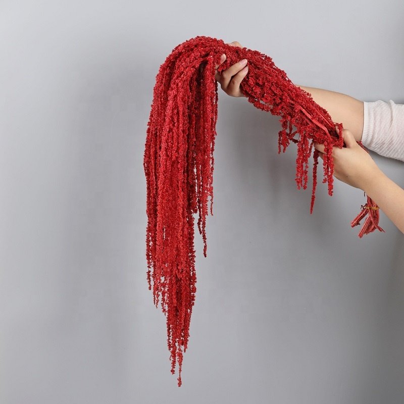 Wholesale greenery dried flowers dried amaranthus hanging preserved amaranthus for wedding decor