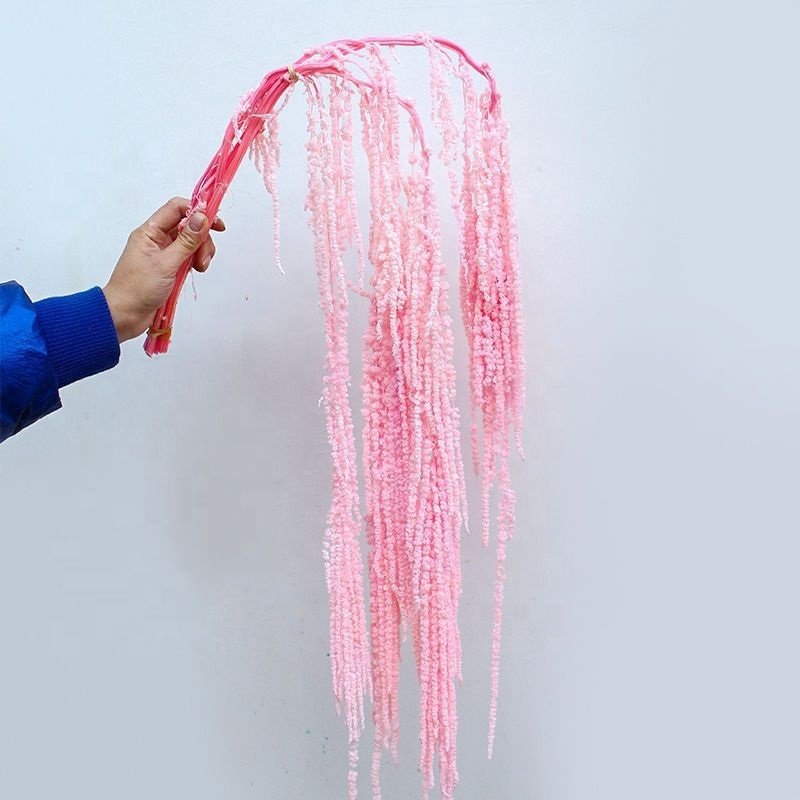 Wholesale greenery dried flowers dried amaranthus hanging preserved amaranthus for wedding decor