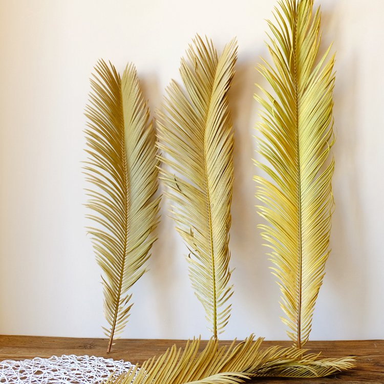 A-mazon hot selling dried flowers dry iron tree leaves for home decoration