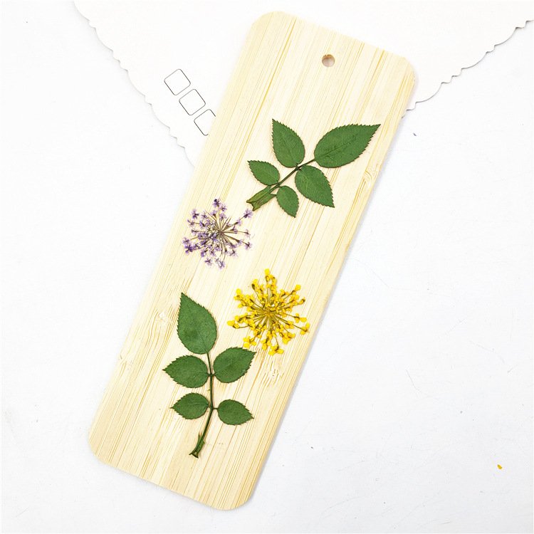 Rose Leaf Real Leaves Real Tree Leaves Plant Specimens Dried Plants Herbarium For DIY Resin