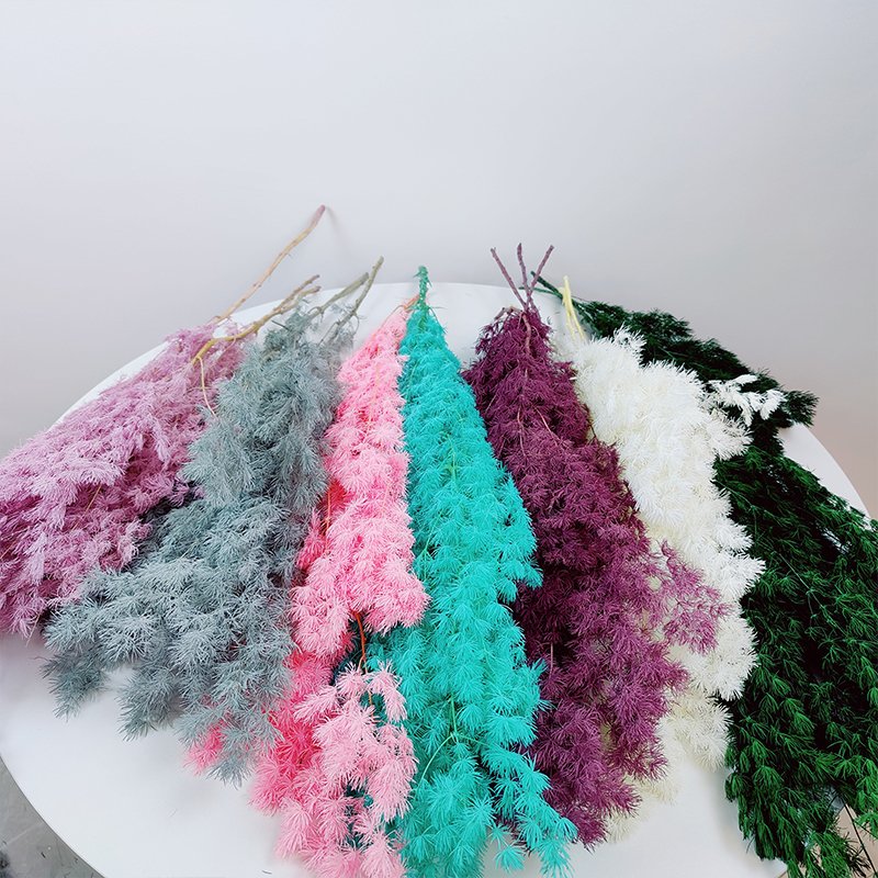 Christmas Decoration Dried Flowers Power Asparagus Green Preserved Ming Fern Asparagus Flower For Floral Wedding Home Decor