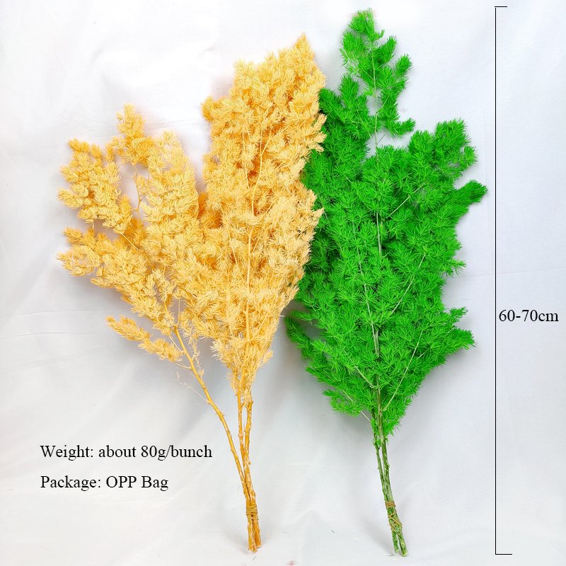 Christmas Decoration Dried Flowers Power Asparagus Green Preserved Ming Fern Asparagus Flower For Floral Wedding Home Decor