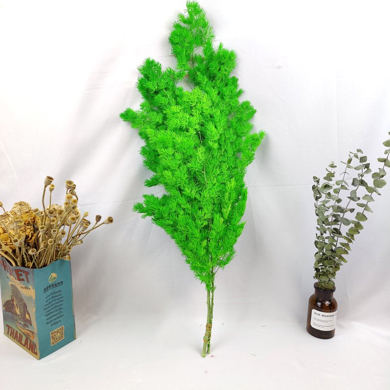 Christmas Decoration Dried Flowers Power Asparagus Green Preserved Ming Fern Asparagus Flower For Floral Wedding Home Decor