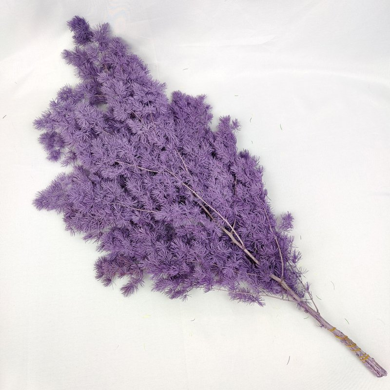 Christmas Decoration Dried Flowers Power Asparagus Green Preserved Ming Fern Asparagus Flower For Floral Wedding Home Decor