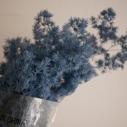36