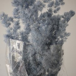 43