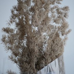 44