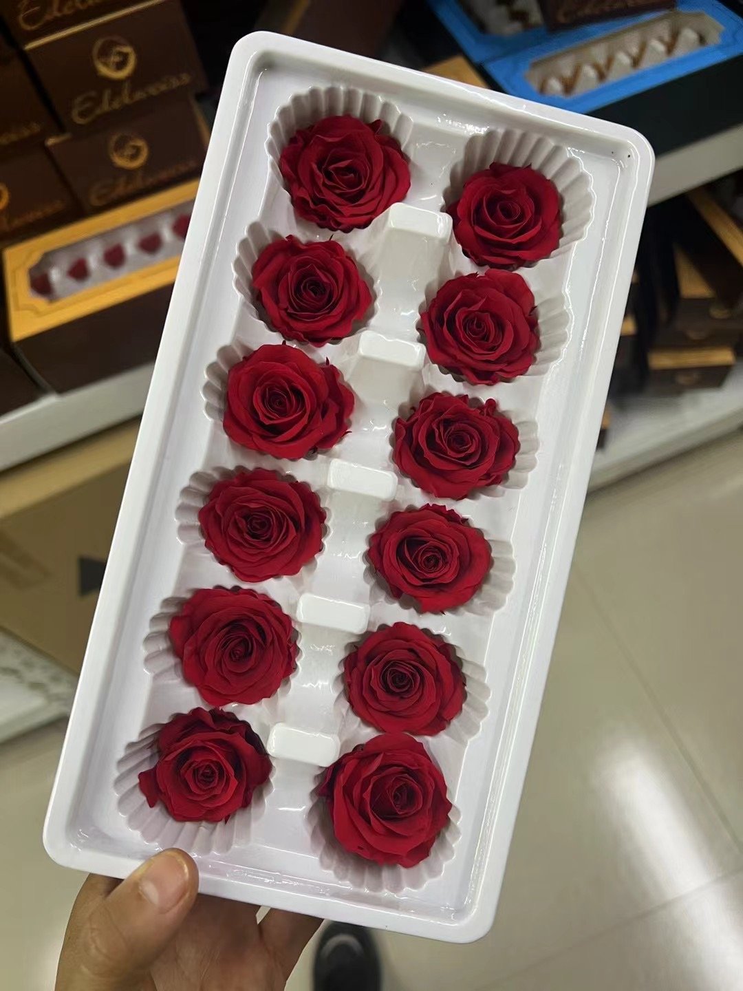 P-5 Preserved Rose in White Real Roses Wholesale Perfect as DIY Floral Arrangements Rose Gift