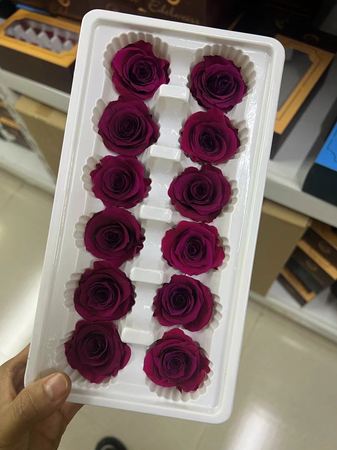 P-5 Preserved Rose in White Real Roses Wholesale Perfect as DIY Floral Arrangements Rose Gift