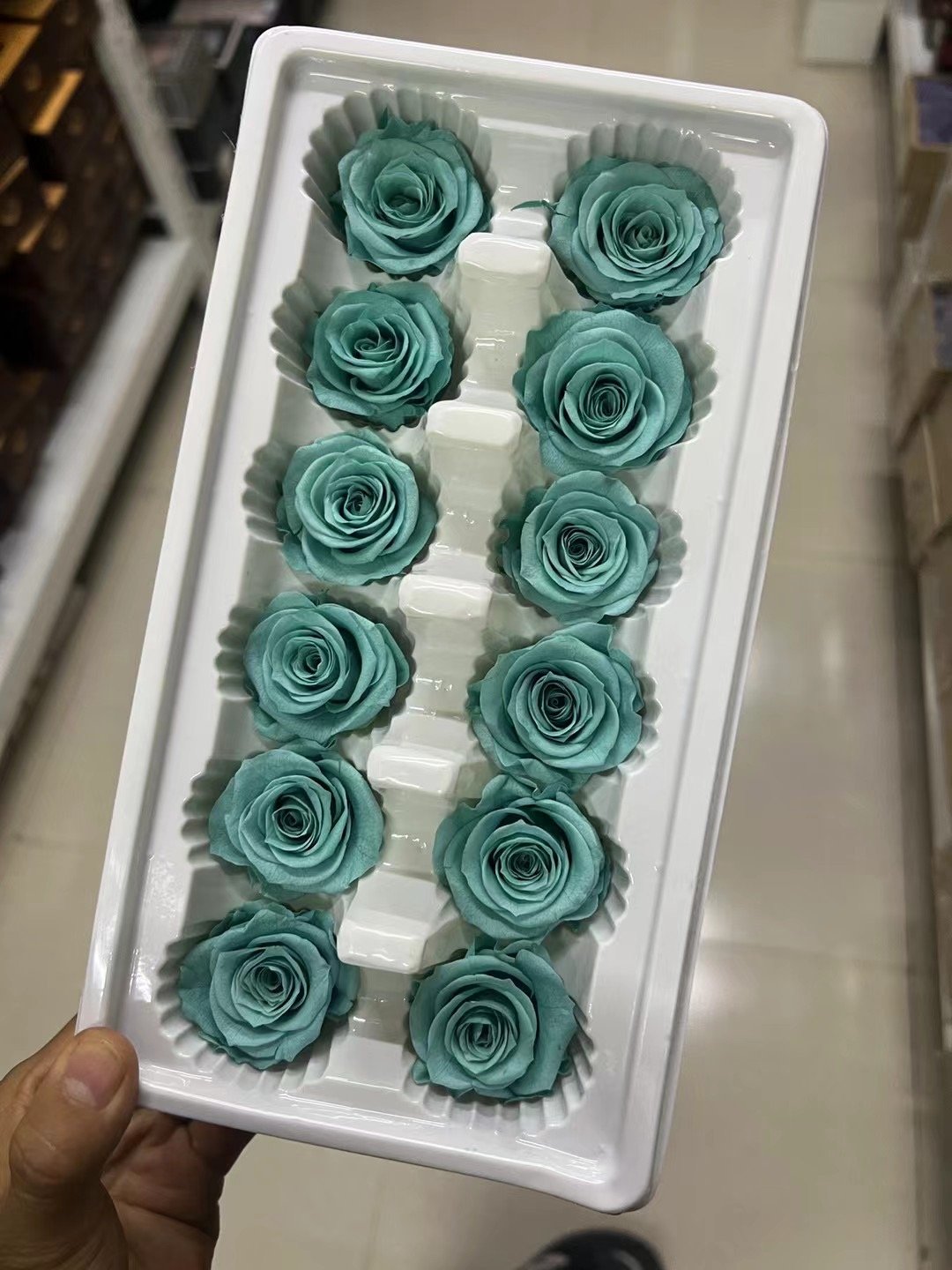 P-5 Preserved Rose in White Real Roses Wholesale Perfect as DIY Floral Arrangements Rose Gift