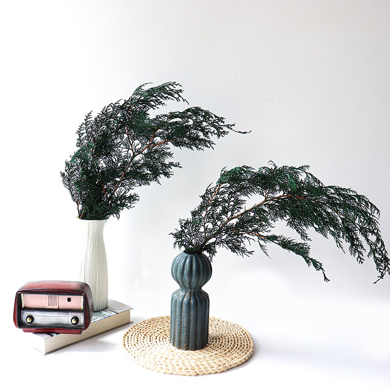 Natural fresh dried preserve flower wholesale fragrant pine tree branches sabina chinensis for home decoration Christmas