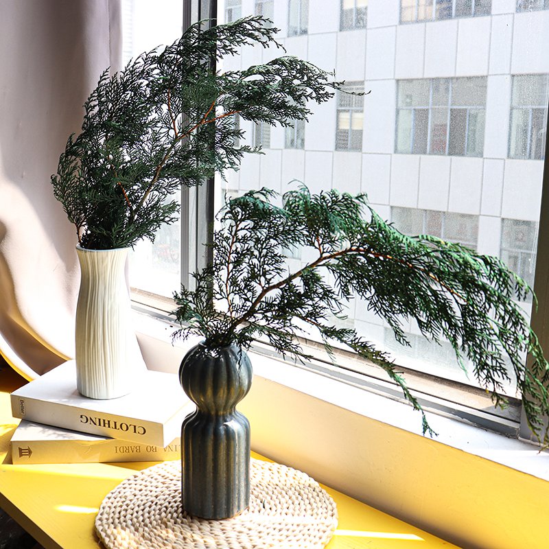 Natural fresh dried preserve flower wholesale fragrant pine tree branches sabina chinensis for home decoration Christmas