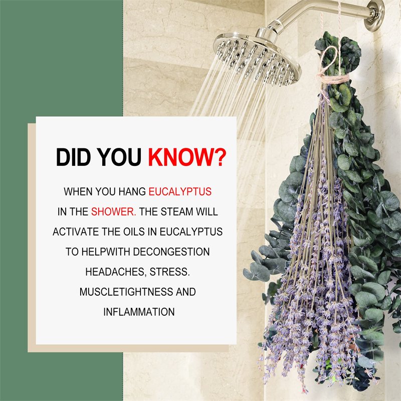 Luxury Real Handmade Gift Natural Real Live 115 Pcs Preserved Eucalyptus Stems & Dried Lavender Bundles for Shower