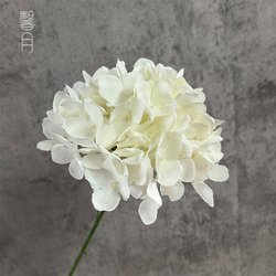 White1