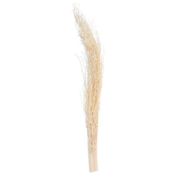 Good Quality Khejur Jhar Dried Flower For Weeding Home Office Decor