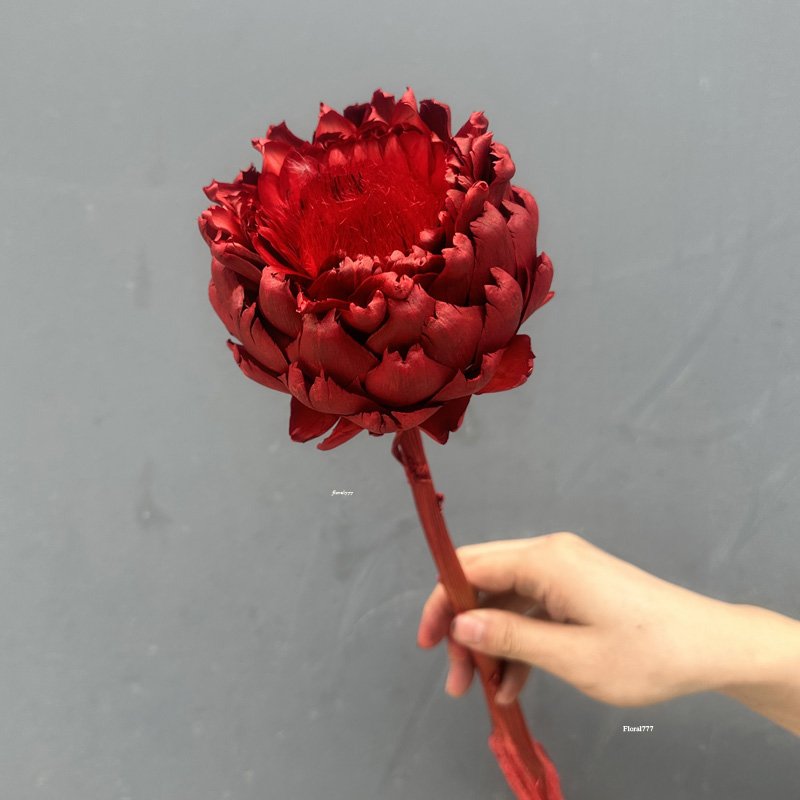 Wholesale 100% dried Flowers White lotus Preserved Flowers Artichoke For Home Wedding Decorative