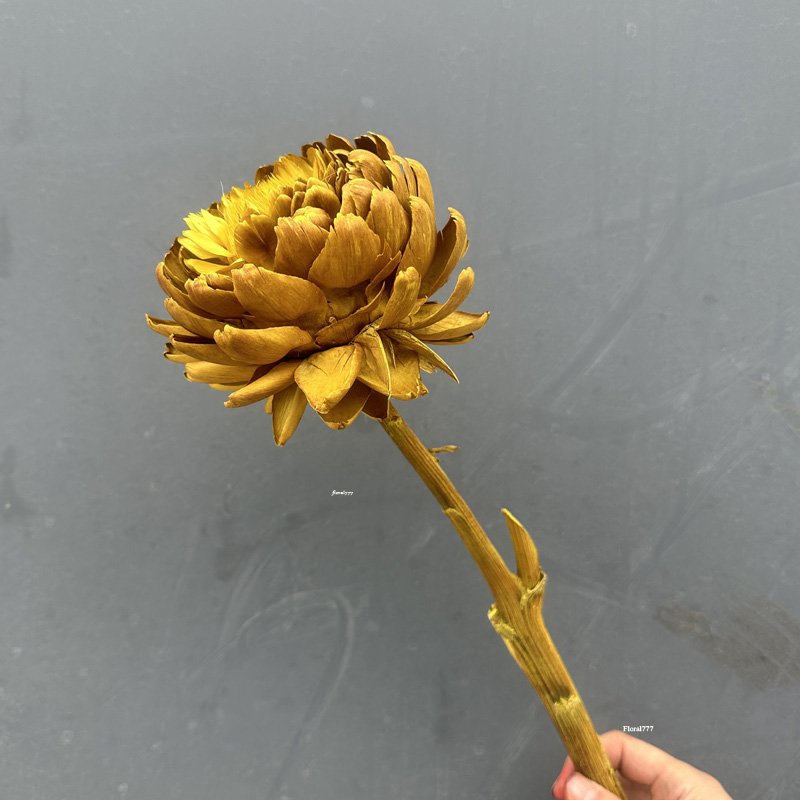 Wholesale 100% dried Flowers White lotus Preserved Flowers Artichoke For Home Wedding Decorative