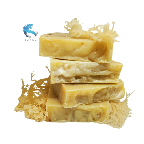 Premium Quality SEA MOSS SOAP Aroma Diffuse Flower Shaped Musk Material Lotus Rose Lavender Ginger Strawberry-Packed Boxes