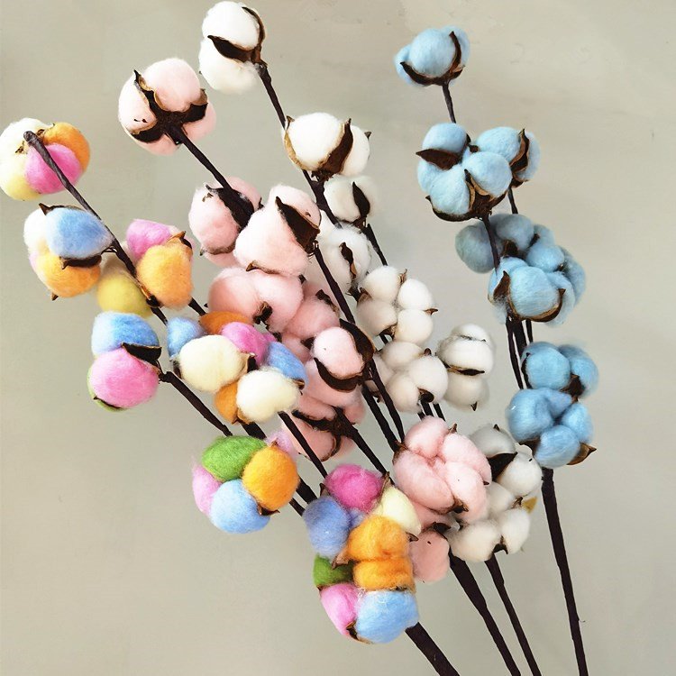 SumFlora China Minimalist style Dried flowers cotton for art bouquet flower arrangement