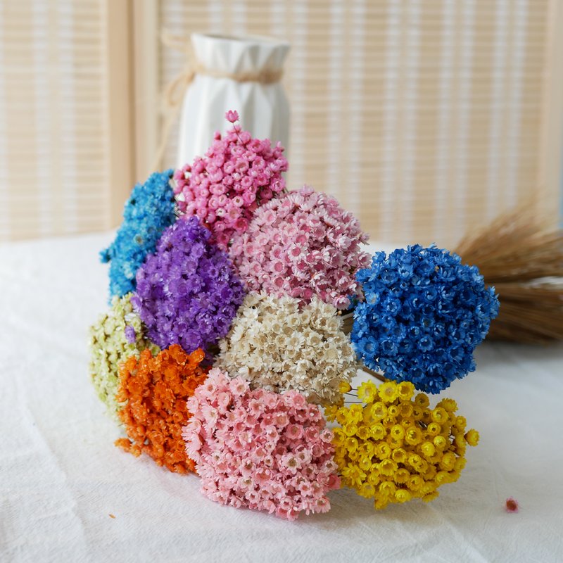 Wholesale Mini Brasil Star Daisy Flowers Dried Mini Daisies Natural Dry Flowers Brazilian Small Star Daisy Glixia For Decor