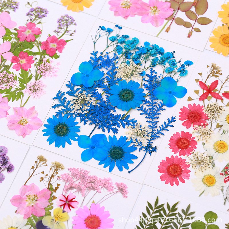 Customizable DIY dry flower embossed combination package handmade real natural flowers for craft