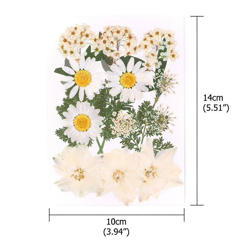 Customizable DIY dry flower embossed combination package handmade real natural flowers for craft