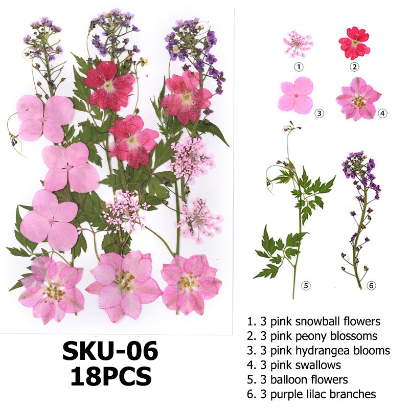 Customizable DIY dry flower embossed combination package handmade real natural flowers for craft