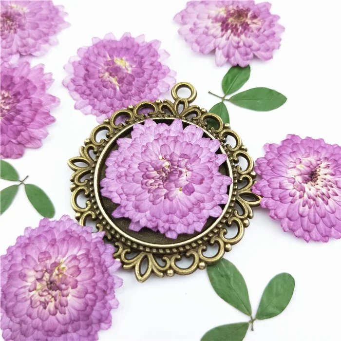 Natural Pressed Flowers Real Dried Chrysanthemum Pressed Purple Mini Daisy for DIY Art Craft Bookmark Decoration